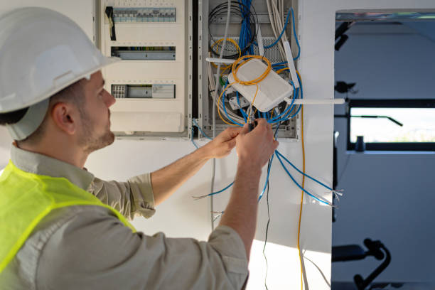 Best Electric Panel Repair  in Stanton, NE